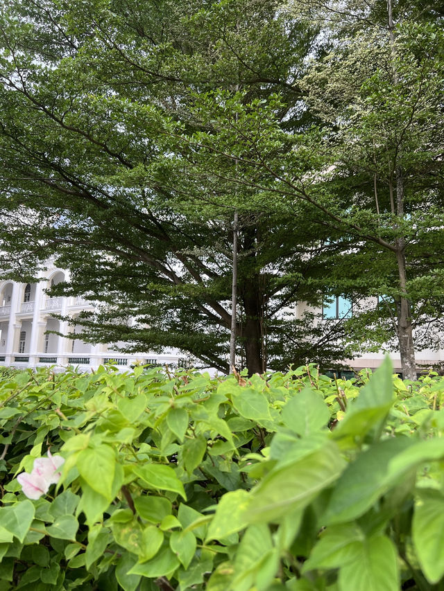 “A Glimpse of British Malaya in the Heart of Ipoh”