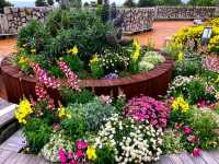Awaji Hanasajiki Park: A Floral Wonderland Above the Sea