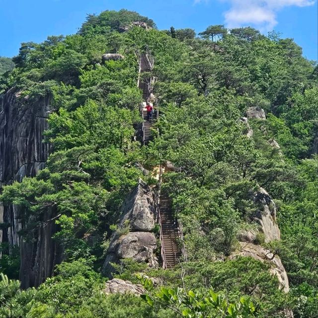 Wolaksan Jebibong