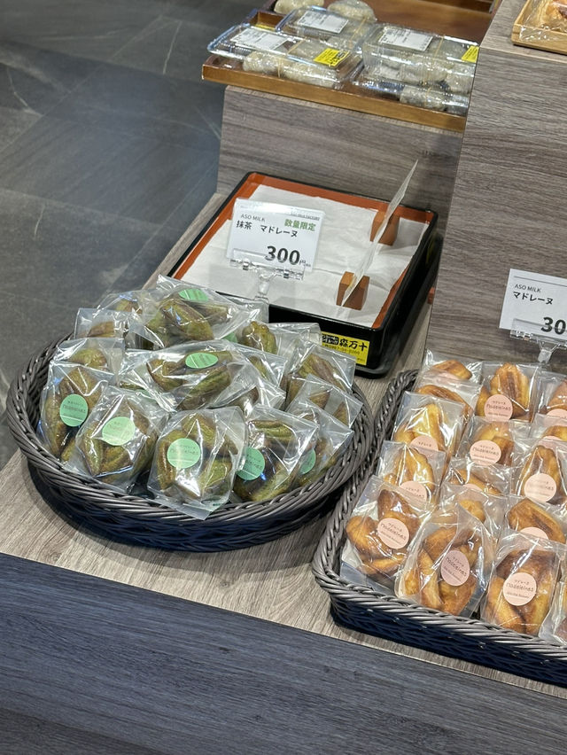 구마모토 아소 낙농업의 고품질🍦요구르트와 우유를 경험할 수 있는 아소여행일정 추첨🩵