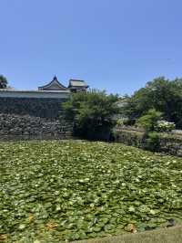 【福岡】大濠公園攻略ガイド🏞️