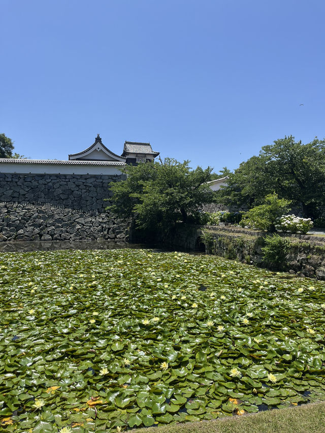【福岡】大濠公園攻略ガイド🏞️