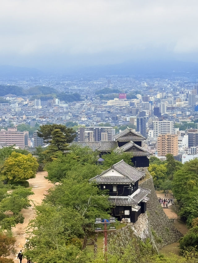 松山｜3個家族4種家徽 多次火災重建的機關巧妙的松山城 