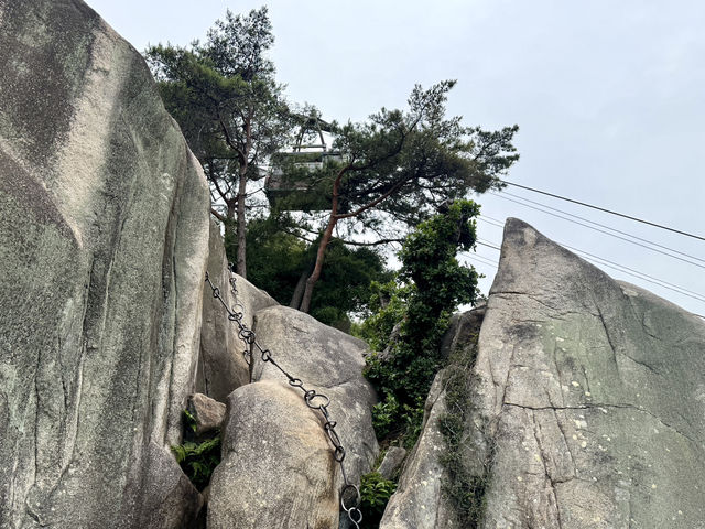 廣島尾道一日散策
