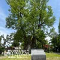 【清州】ソウルからサクッと日帰り旅❗️清州中央公園と周辺グルメ　
