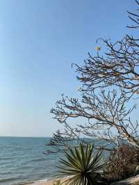 รีวิวหาดลับพัทยา ถ่ายรูปไม่ติดคน ส่วนตัวสุดๆ