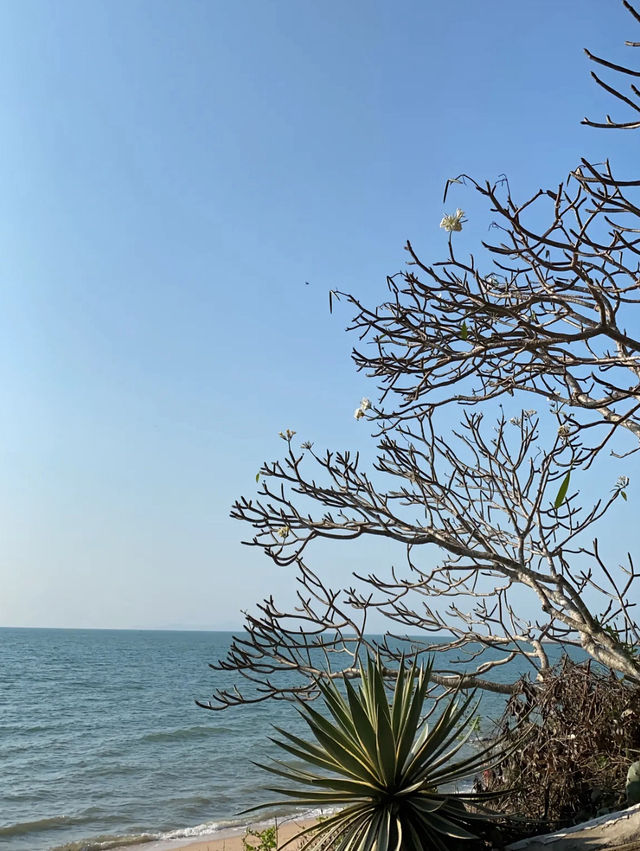 รีวิวหาดลับพัทยา ถ่ายรูปไม่ติดคน ส่วนตัวสุดๆ