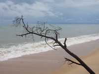 Pantai Mangkuk- Setiu’s Secret Coastal Gem! 