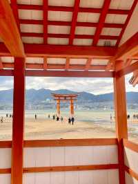 ⛩️【広島・宮島】神々と自然が宿る神秘の島で、心ほどけるひとときを🌿🌊