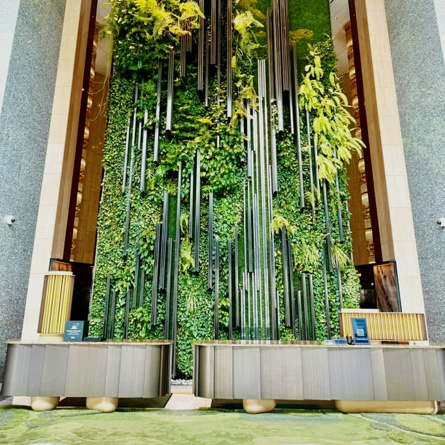 A Green Sanctuary in the Heart of the City