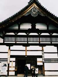 建仁寺的藝術與禪意，讓京都之旅更添靈性與文化深度！