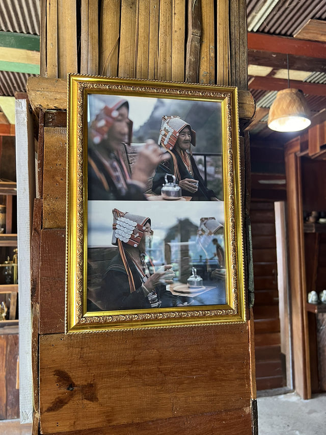 ไปจิ๊บกาแฟนั่งดูป่าเขียวชะอุ่ม ดอยผาหมีหน้าฝนกัน ☘️