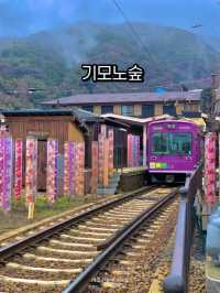 아라시야마 기모노 숲, 인생샷 명소!🎎