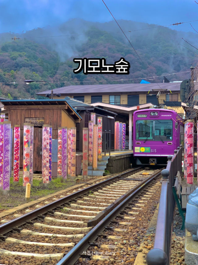아라시야마 기모노 숲, 인생샷 명소!🎎