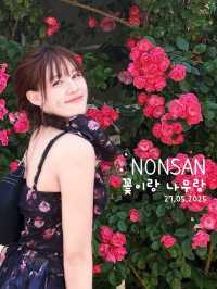 คาเฟ่ที่มีสวนกุหลาบ🌹
