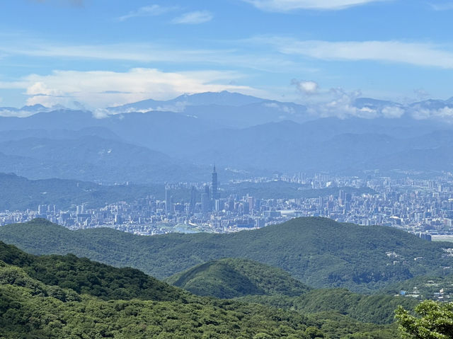 擎天崗天氣晴