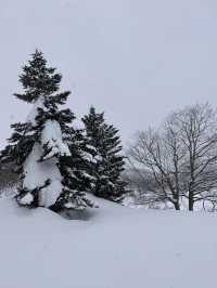 Hokkaido trip 