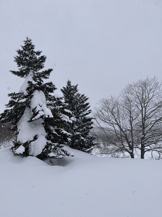 Hokkaido trip 
