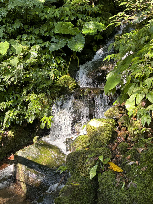滿月圓森林公園｜新北三峽的清新綠洲，親近山林的最佳選擇