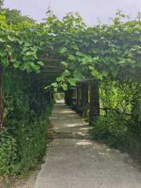 시원할 때 가기 좋은 국립백두대간 수목원🌳