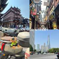SHANGHAI THROUGH MY LENS 📷