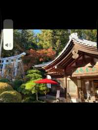 山と神秘に包まれる「宝登山神社」で、心澄む長瀞旅