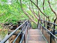 Anping Tree House ประวัติศาสตร์กับธรรมชาติ✨️