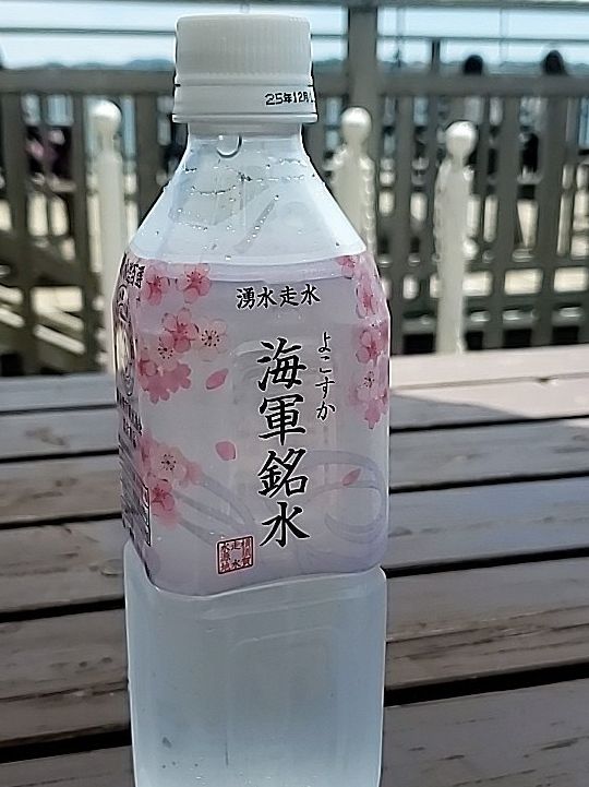 幻想の島 猿島