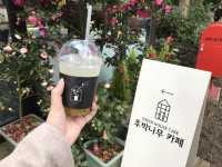 🌺 Camellia Hill – ดินแดนแห่งดอกไม้บนเกาะเชจู