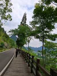 天下山峰何其多  唯有此處峰成林