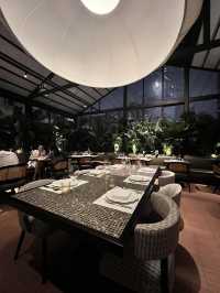Must-Try Fine Dining in Shanghai: A Night at Terrakota