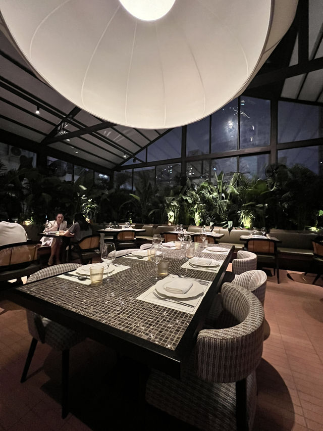 Must-Try Fine Dining in Shanghai: A Night at Terrakota