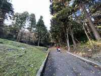 🍀 Review: Strolling Through History at Aobayama Park