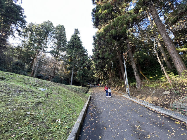 🍀 Review: Strolling Through History at Aobayama Park