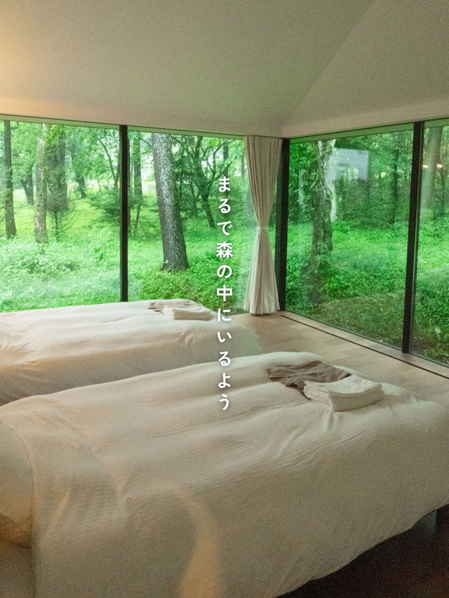 【軽井沢】＼まるで森の中／デザイン貸別荘🌿