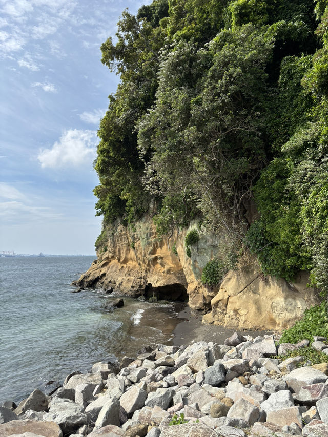こんな景色が見れるなんて！日本の無人島と長谷寺あじさい