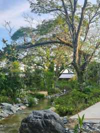🌸 Chinese Garden Singapore – Your Peaceful Hideout! 🏯🌿