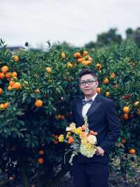 🍊 Jeju Orange Field – A Dreamy Summer Wedding Destination Straight Out of a K-Drama 🍊