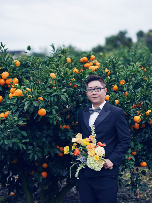 🍊 Jeju Orange Field – A Dreamy Summer Wedding Destination Straight Out of a K-Drama 🍊