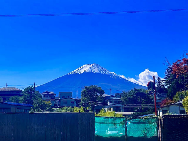 โอซาก้า🇯🇵❄️
