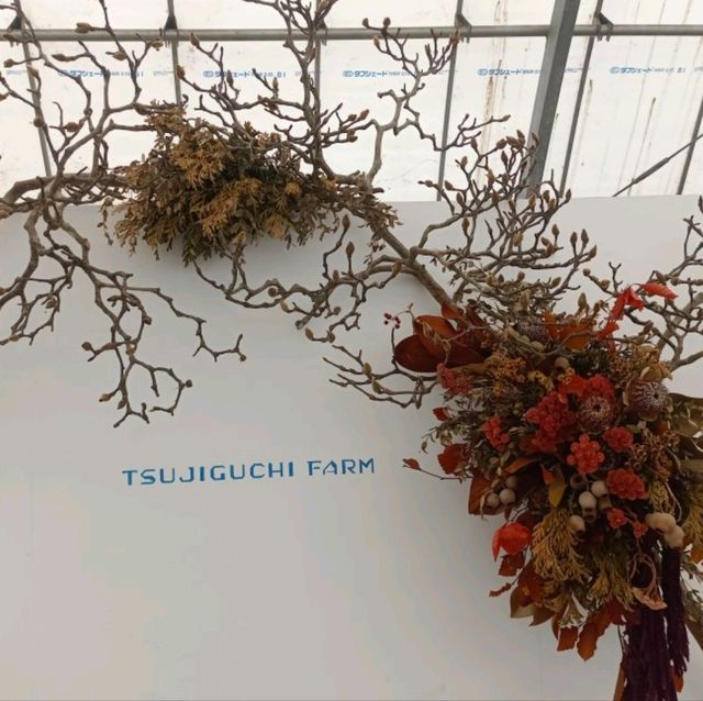 กินสตอร์เบอรี่สีขาวแบบบุฟเฟ่ต์ที่Tsujiguchi Farm