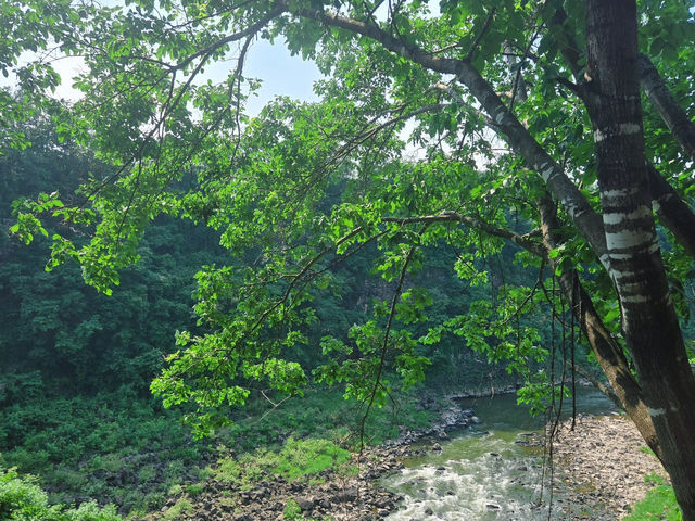 Gangwon Province: A Hidden Gem — The Cheorwon Hantangang Columnar Joint Road! 🇰🇷🚶‍♀️