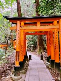 Peace Torii