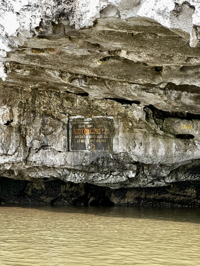 Oars, Caves, and Rice Dreams: Tam Coc Like You’ve Never Seen It