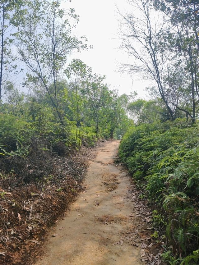 ⛰️ Conquer Nature at Kledang Hill Trail Head, Ipoh! 🌿