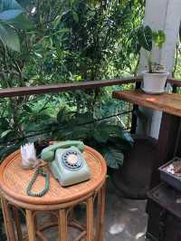 Baannairai: Where Flavor Meets Nature