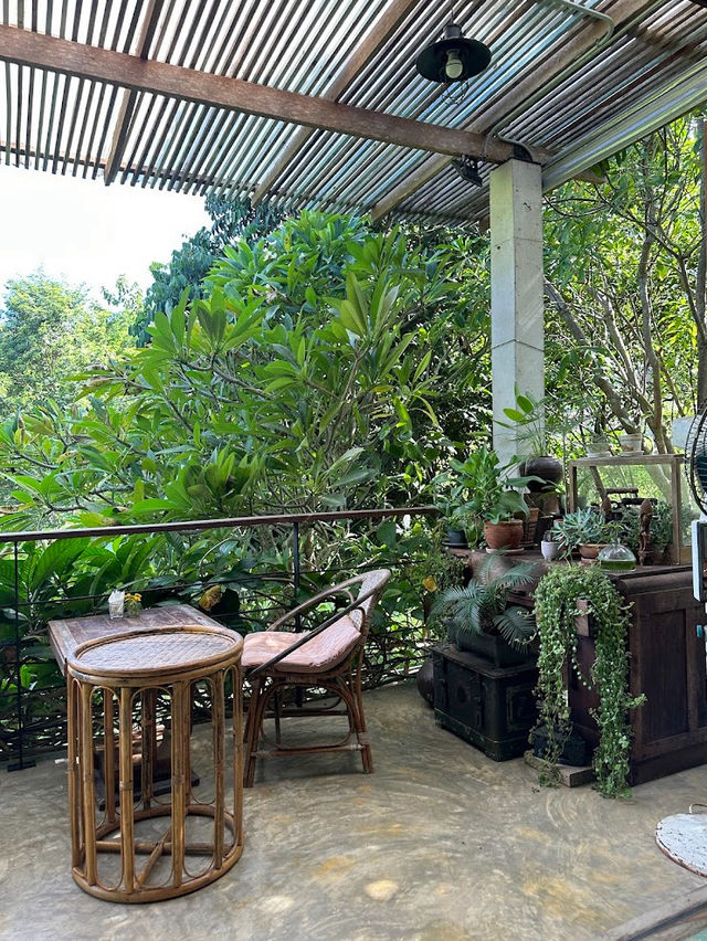 Baannairai: Where Flavor Meets Nature