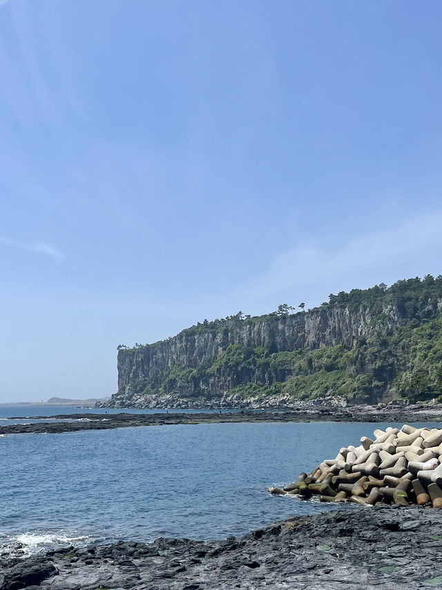 🌿 제주 감성 여행, 바람과 햇살을 담다