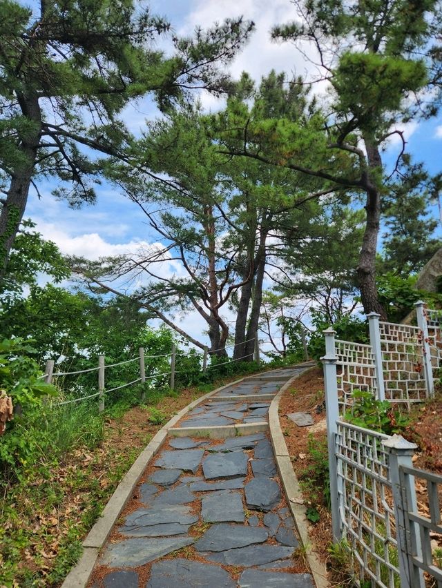 💖동해바다 풍경으로 속이 뻥 뚫리는 강원도고성 "천학정"💖