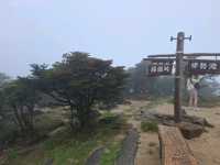 三重山頂秘境！絕美公園四季皆風景！